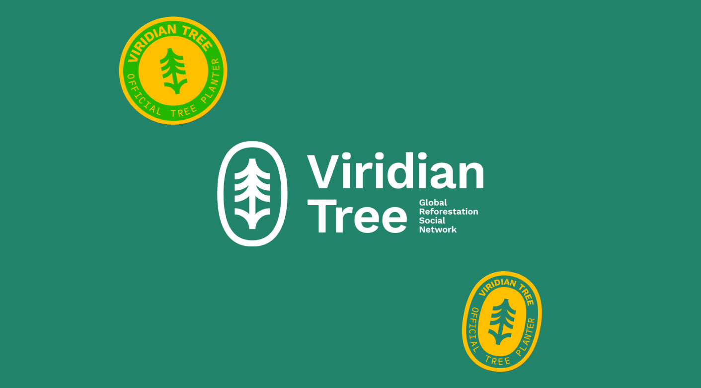 Diseño de identidad Mezquite en tipos libres estudio de diseño gráfico